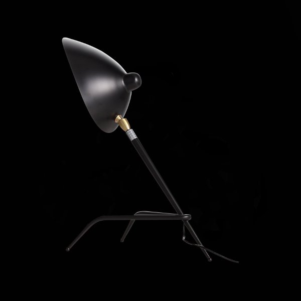 Настольная лампа Spruzzo SL305.404.01