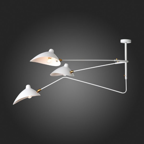 Потолочная люстра Spruzzo SL305.502.03