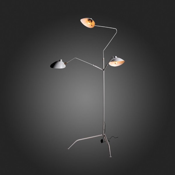 Торшер Spruzzo SL305.505.03