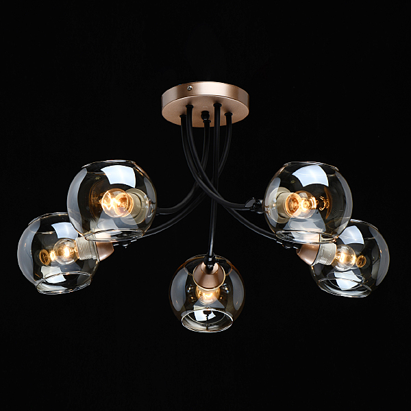 Потолочная люстра Вита 220012405