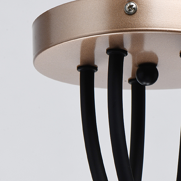 Потолочная люстра Вита 220012405