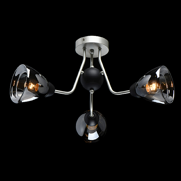 Потолочная люстра Вита 220012503