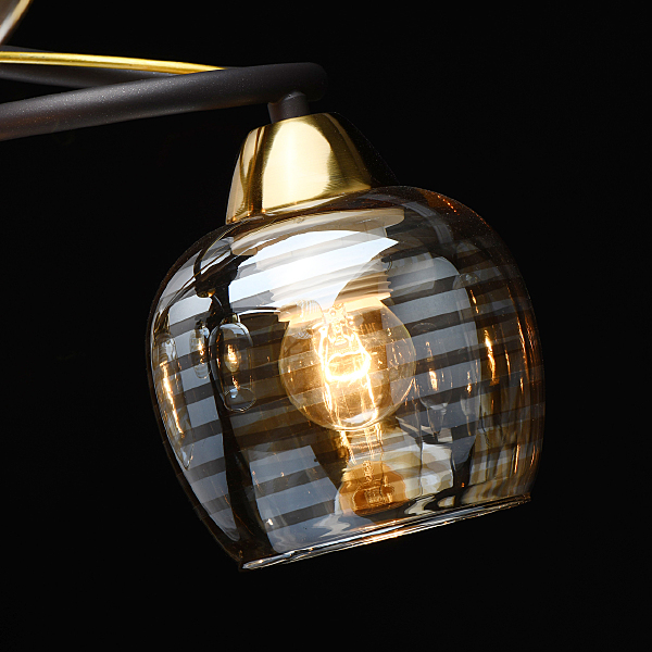 Потолочная люстра Альфа 324015006