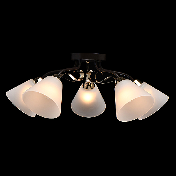 Потолочная люстра Нежность 676014605