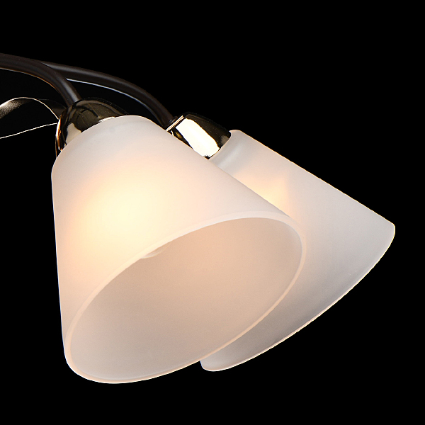 Потолочная люстра Нежность 676014605