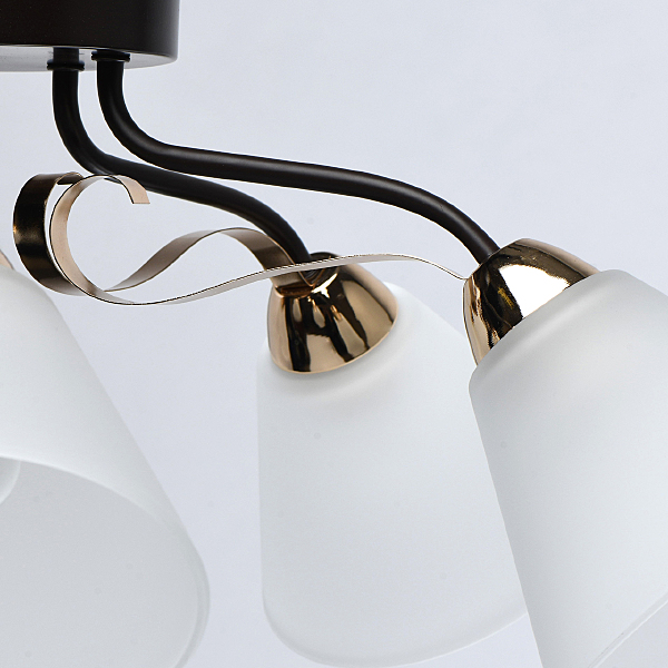 Потолочная люстра Нежность 676014605