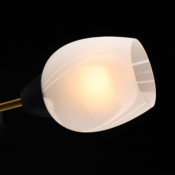 Потолочная люстра Олимпия 638018608