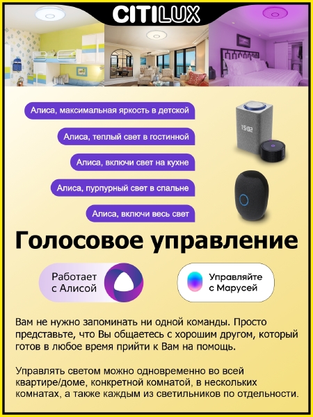 Светильник потолочный Старлайт Смарт CL703A100G