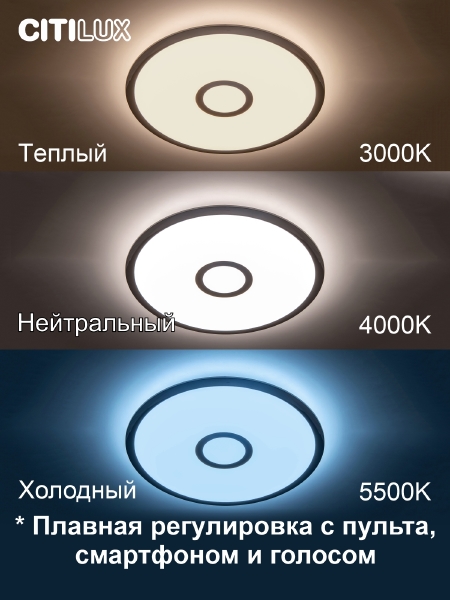 Светильник потолочный Старлайт Смарт CL703A30G