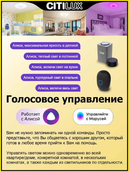 Светильник потолочный Диамант Смарт CL713A40G