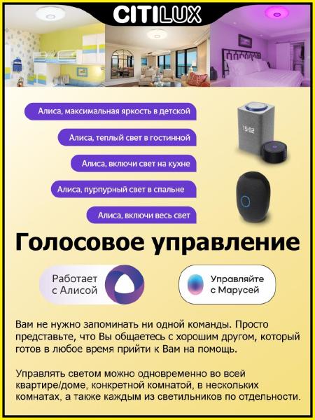 Светильник потолочный Диамант Смарт CL713A80G