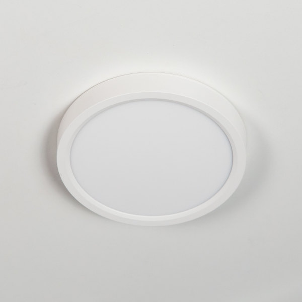 Светильник потолочный Бейсик CL738120N