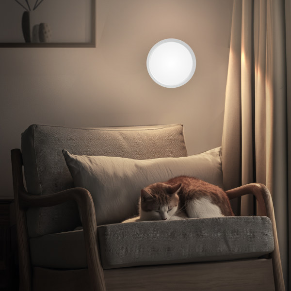 Светильник потолочный Бейсик CL738120N