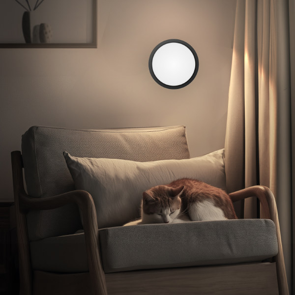 Светильник потолочный Бейсик CL738121N