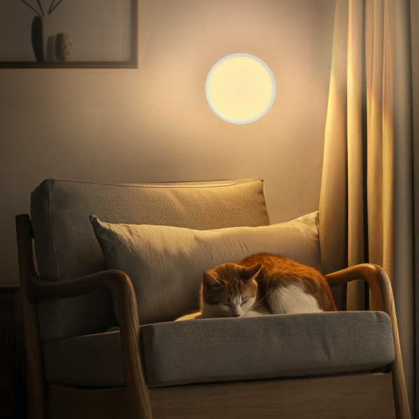 Светильник потолочный Бейсик CL738180V