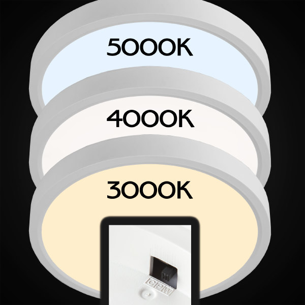 Светильник потолочный Бейсик CL738180V