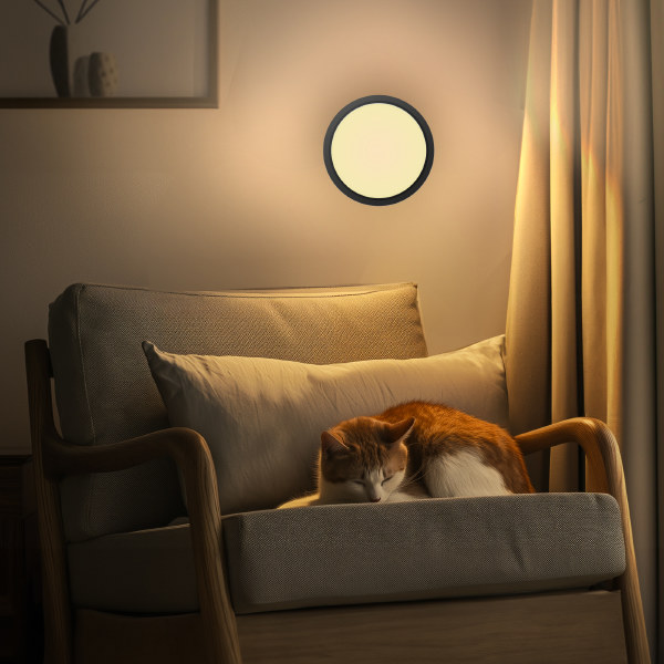 Светильник потолочный Бейсик CL738181V