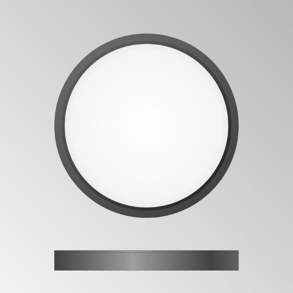 Светильник потолочный Бейсик CL738181V