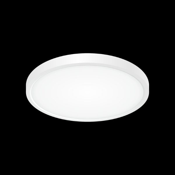 Светильник потолочный Бейсик CL738240V