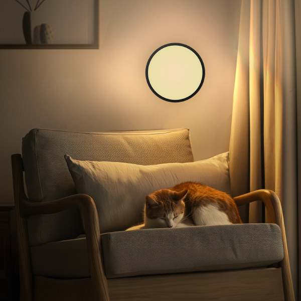 Светильник потолочный Бейсик CL738241V