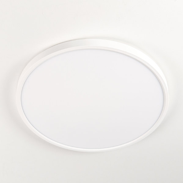 Светильник потолочный Бейсик CL738320V