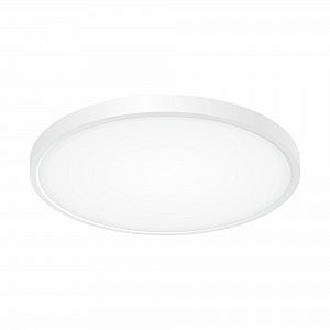 Светильник потолочный Бейсик CL738320V