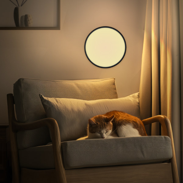 Светильник потолочный Бейсик CL738321V