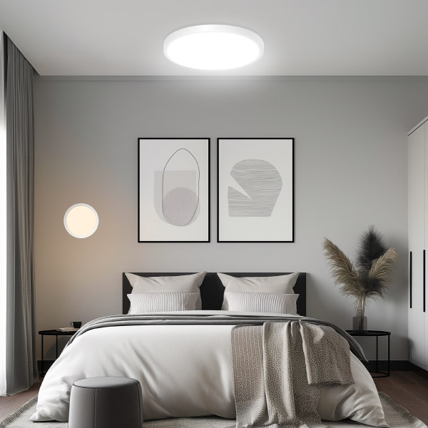 Светильник потолочный Бейсик CL738400V