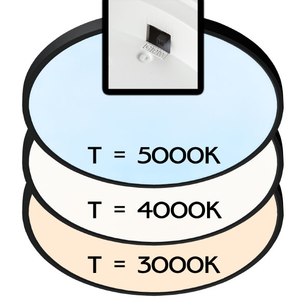 Светильник потолочный Бейсик CL738401V