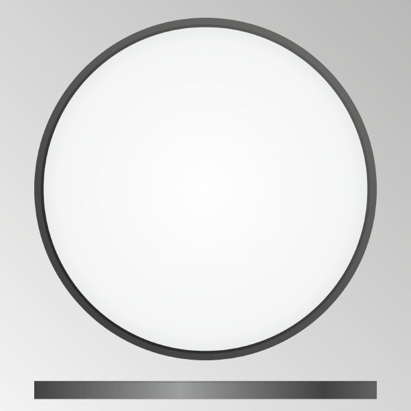 Светильник потолочный Бейсик CL738401V