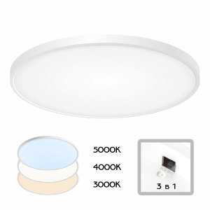 Светильник потолочный Бейсик CL738500V