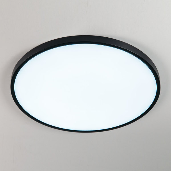 Светильник потолочный Бейсик CL738501V