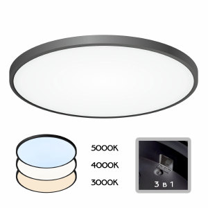 Светильник потолочный Бейсик CL738501V