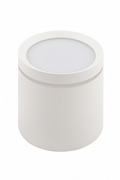 Накладной светильник Dk4016 DK4016-WH