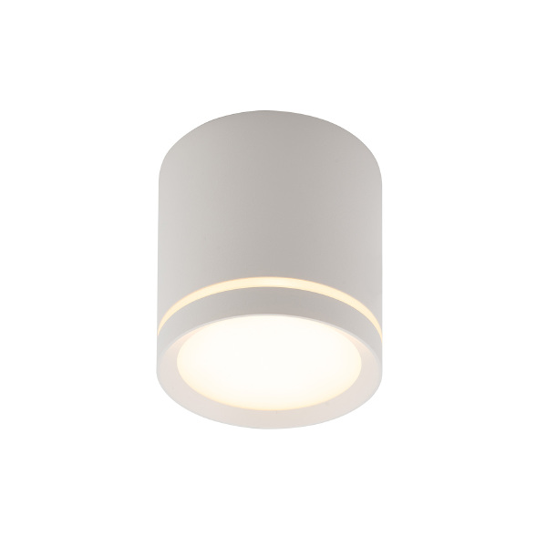 Накладной светильник Dk4016 DK4016-WH