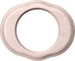 WL20-frame-01/ Рамка на 1 пост (беленый дуб)