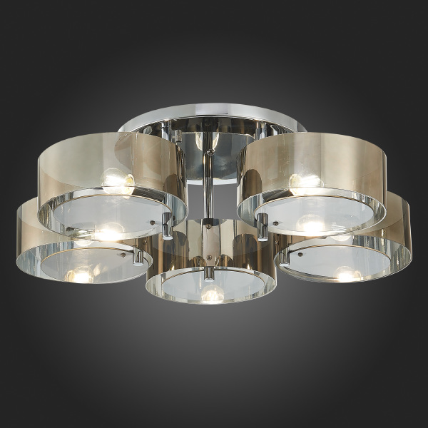 Потолочная люстра Foresta SL483.702.05