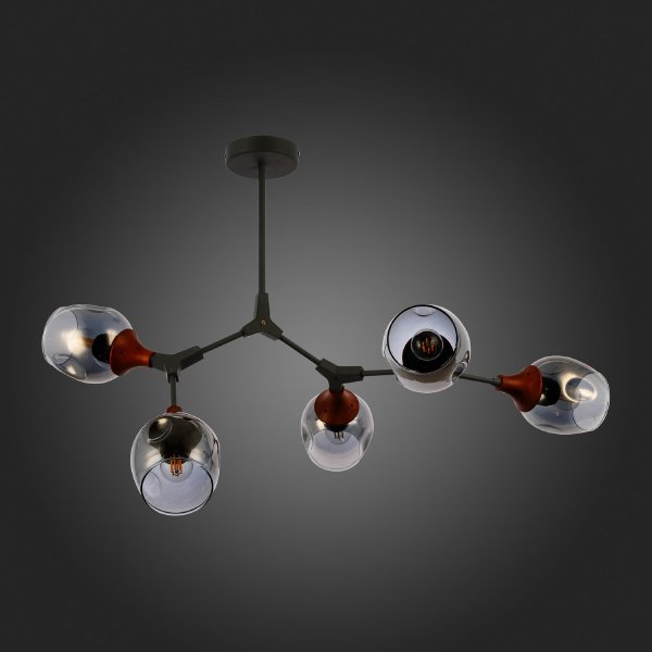 Потолочная люстра Ciotolla SLE113402-05