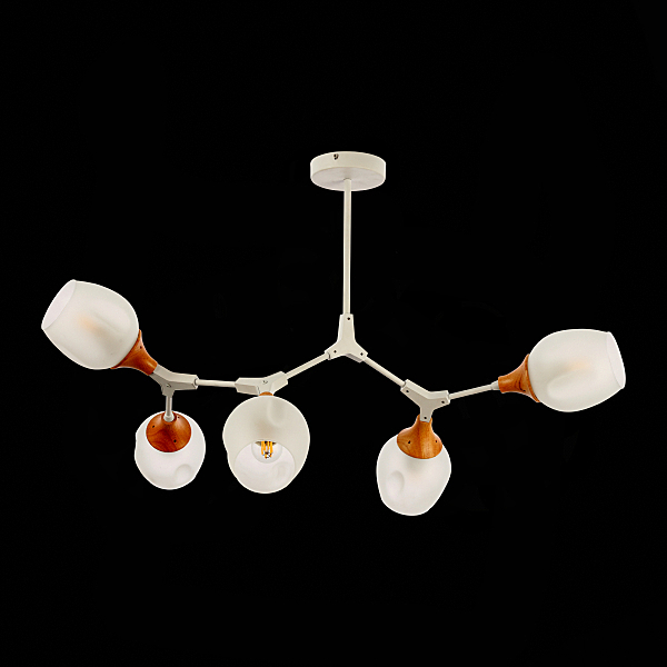 Потолочная люстра Ciotolla SLE113502-05