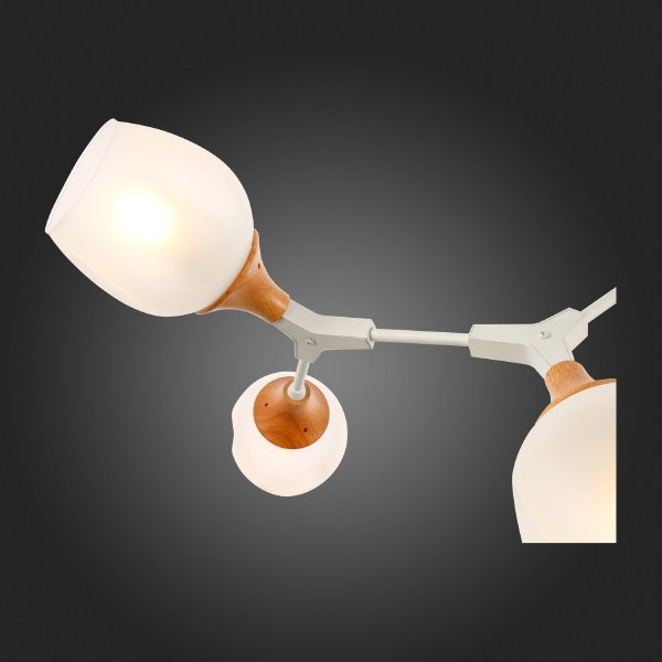 Потолочная люстра Ciotolla SLE113502-05