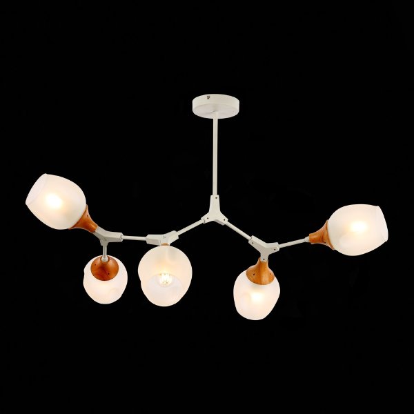 Потолочная люстра Ciotolla SLE113502-05