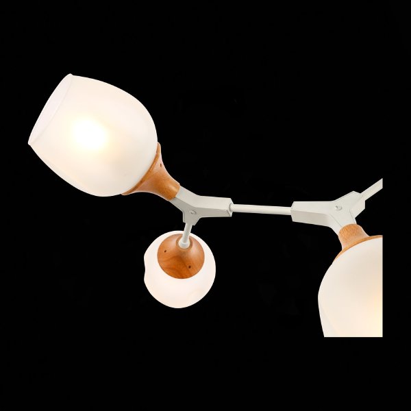 Потолочная люстра Ciotolla SLE113502-05