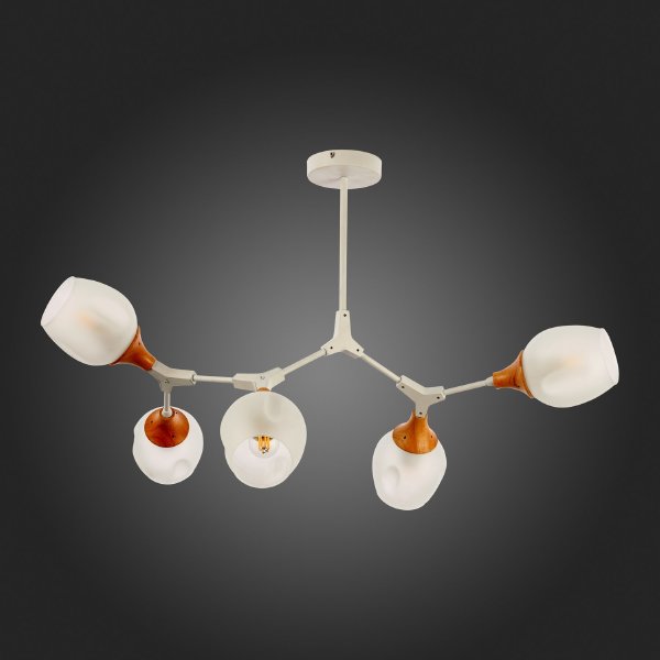 Потолочная люстра Ciotolla SLE113502-05