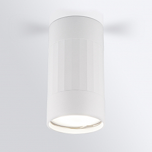 Накладной светильник Elektrostandard DLN111 GU10 белый