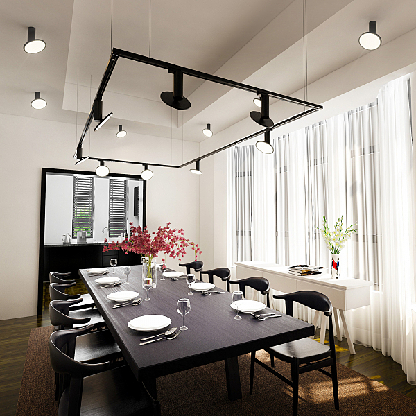 Светильник спот DLS029 DLS029 12W 4200K черный матовый