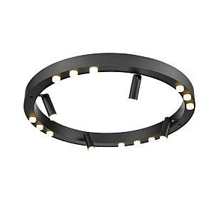 Светильник потолочный Satellite VL7172L12