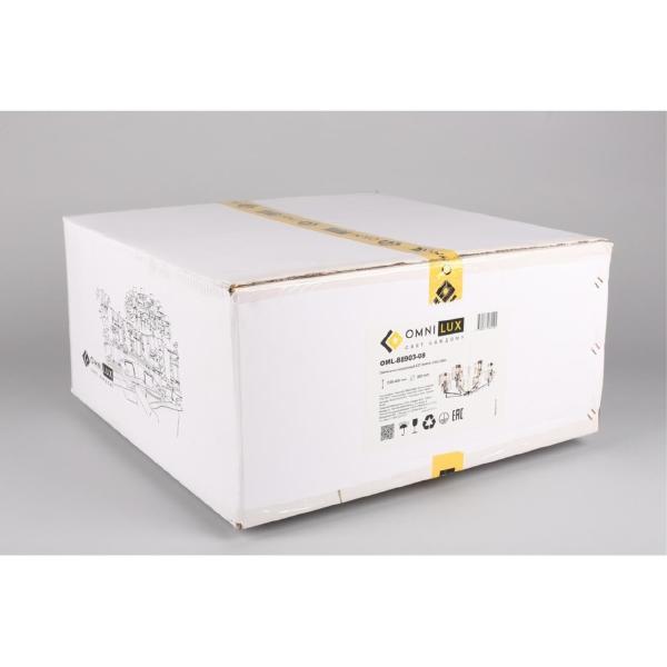 Подвесная люстра Lizzano OML-88903-08