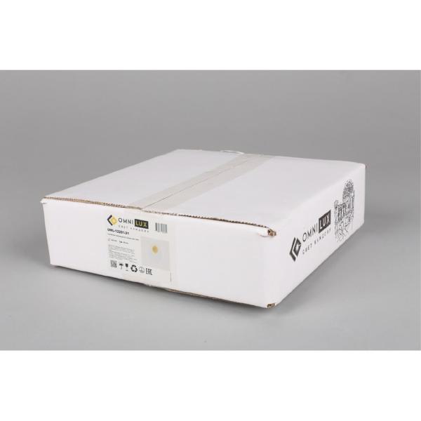 Настенный светильник Rovereto OML-12201-21