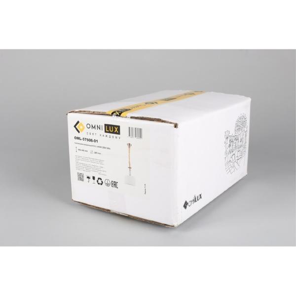 Светильник подвесной Molveno OML-57606-01