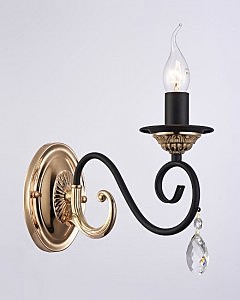 Настенное бра Дарен 2010/1W-FG-BK